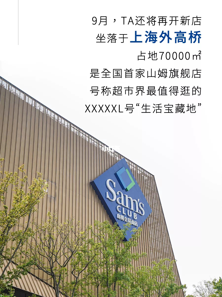 上海网站建设公司网站_上海网站_上海网站