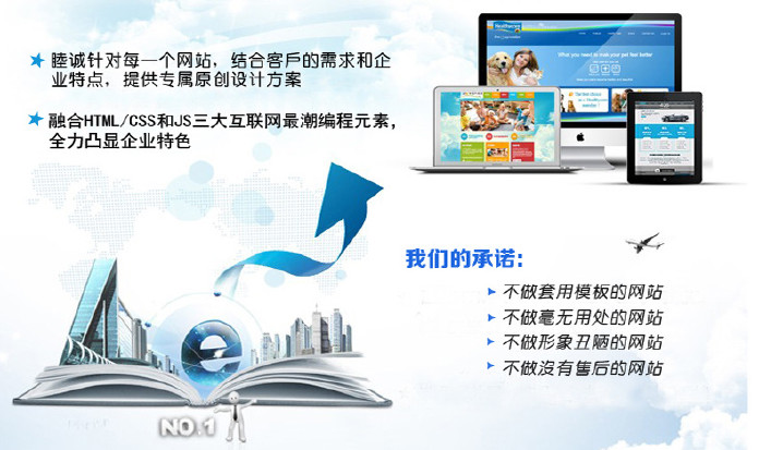 上海做网站_上海专业做网站_上海做网站设计的公司