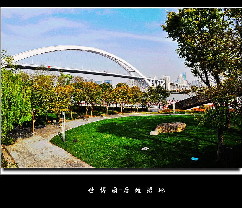 大型 网站 建设 公司_网站外链建设_上海网站建设