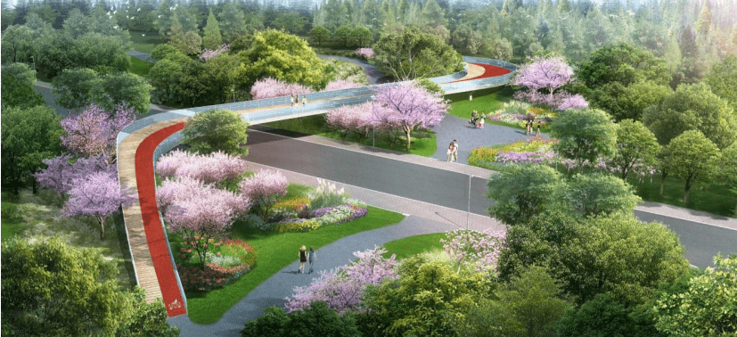 网站外链建设_上海网站建设_大型 网站 建设 公司